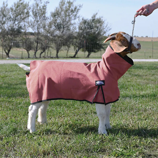 Blanket - Procool Goat