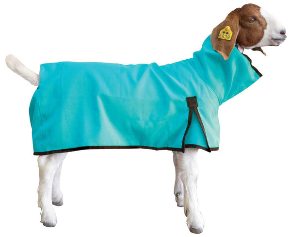 Blanket - Goat Weaver