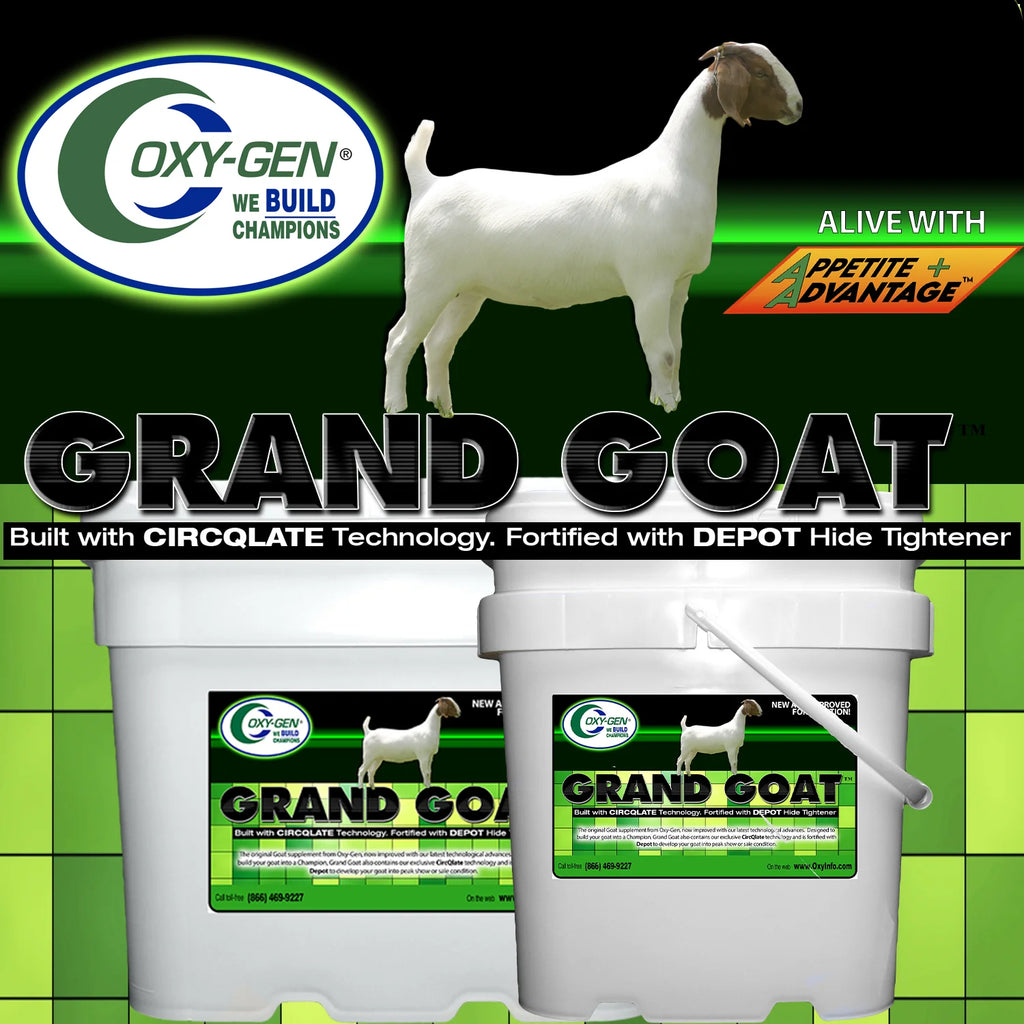 Grand Goat 17#