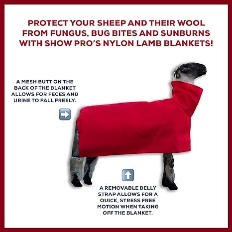 Blanket  - Sheep Show Pro