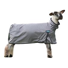 Blanket - Procool Sheep