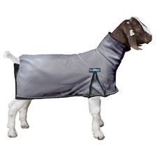 Blanket - Procool Goat