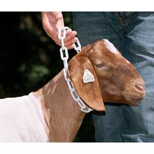 Plastic  goat chain