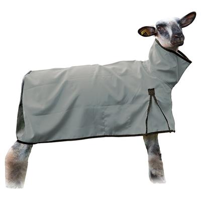 Blanket - Sheep Weaver