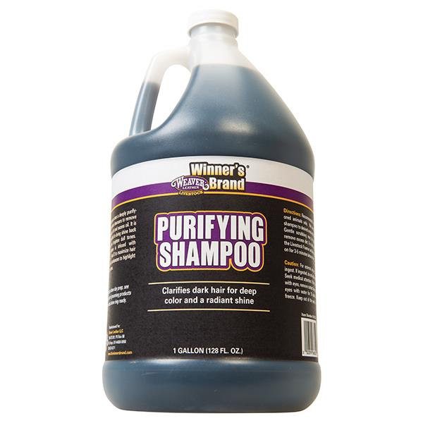 Shampoo - Purifying